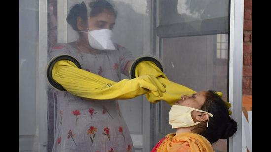A health worker collecting a swab sample of a resident at the community health centre in Jawaddi of Ludhiana on Sunday. (Harsimar Pal Singh/HT)