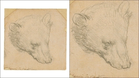 Leonardo da Vinci's 'Head of Bear' drawing may fetch over $16 million at auction(Twitter/ChristiesInc)