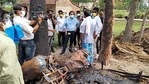 A team of the Union home ministry visits an area near Kolkata on Sunday to inspect it in the wake of violence after assembly elections.(ANI Photo) A team of the Union home ministry visits an area near Kolkata on Sunday to inspect it in the wake of violence after assembly elections.(ANI Photo)