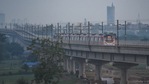 The tree varieties that have been impacted by the Metro construction include banyan, jungle jalebi, alstonia, siras, papri, kachnar and sheesham, said the forest department.(HT Photo ) The tree varieties that have been impacted by the Metro construction include banyan, jungle jalebi, alstonia, siras, papri, kachnar and sheesham, said the forest department.(HT Photo )