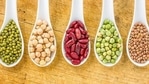 Here's how legumes like beans, soybeans, peanuts came from and diversified(Shutterstock) Here's how legumes like beans, soybeans, peanuts came from and diversified(Shutterstock)