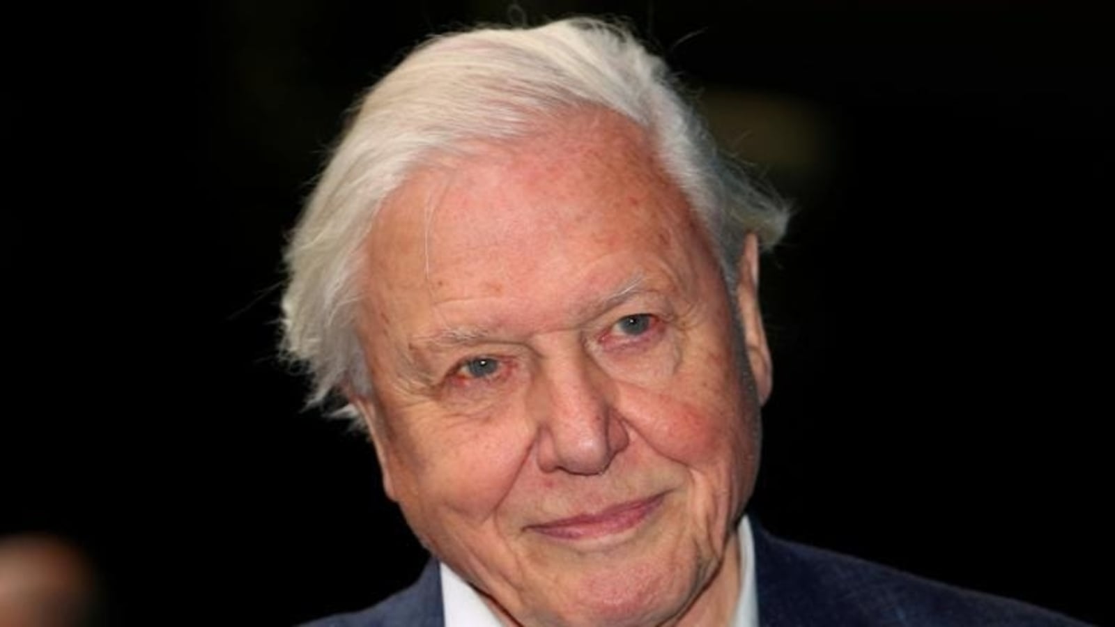 Britain Names Sir David Attenborough As 'People’s Advocate' Ahead Of ...