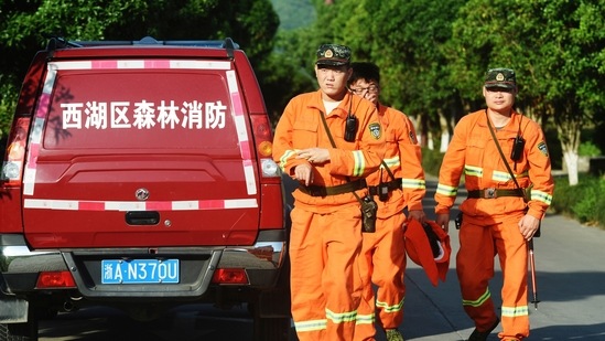 Workers take part in a search for a runaway leopard in Hangzhou in eastern China's Zhejiang province Sunday. (via AP) Workers take part in a search for a runaway leopard in Hangzhou in eastern China's Zhejiang province Sunday. (via AP)