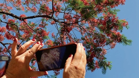 One of the best places to spot them is in... well, Gulmohar Park, the neighbourhood. One of the best places to spot them is in... well, Gulmohar Park, the neighbourhood.