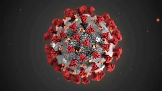 The ultrastructural morphology exhibited by the 2019 novel coronavirus (2019-nCoV).(Reuters File Photo)
