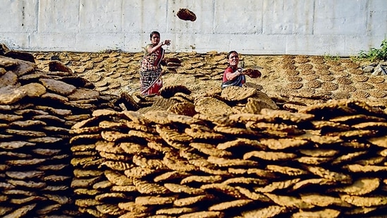 Cow dung is reported to be a vital energy and cooking source in some parts of the world, including India.(Sanket Wankhade/HT PHOTO)