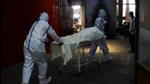 Uttar Pradesh has struggled with oxygen and medicine supplies and ICU beds among other logistical issues during 2nd wave of Covid-19. Representative Photo/AFP Uttar Pradesh has struggled with oxygen and medicine supplies and ICU beds among other logistical issues during 2nd wave of Covid-19. Representative Photo/AFP