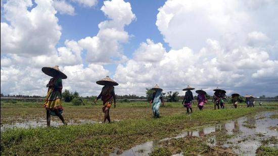 The Odisha government will provide financial assistance to small and marginal farmers so that they can purchase inputs like seeds, fertilizers, pesticides and continue agricultural activities during the lockdown imposed in the state. (ANI PHOTO.) The Odisha government will provide financial assistance to small and marginal farmers so that they can purchase inputs like seeds, fertilizers, pesticides and continue agricultural activities during the lockdown imposed in the state. (ANI PHOTO.)