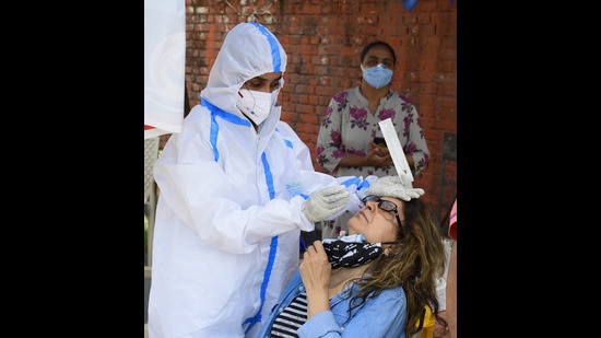 A health worker collecting swab sample near the Ludhiana civil hospital on Friday. (Harsimar Pal SIngh/HT)
