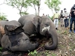 Assam Forest Minister Parimal Suklabaidya visits the site where eighteen elephants are believed to have died in lightning strikes, at Bamuni Hills in Nagaon on Friday. (ANI Photo) Assam Forest Minister Parimal Suklabaidya visits the site where eighteen elephants are believed to have died in lightning strikes, at Bamuni Hills in Nagaon on Friday. (ANI Photo)