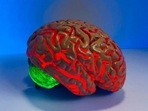 New brain research offers hope for Alzheimer's disease(Unsplash) New brain research offers hope for Alzheimer's disease(Unsplash)