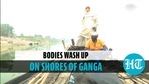 Bodies wash up on shores of river Ganga in UP's Ghazipur Bodies wash up on shores of river Ganga in UP's Ghazipur