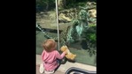 The leopard reacting to the little girl and her toy. (Instagram/@philadelphiazoo, Lara Fraser) The leopard reacting to the little girl and her toy. (Instagram/@philadelphiazoo, Lara Fraser)