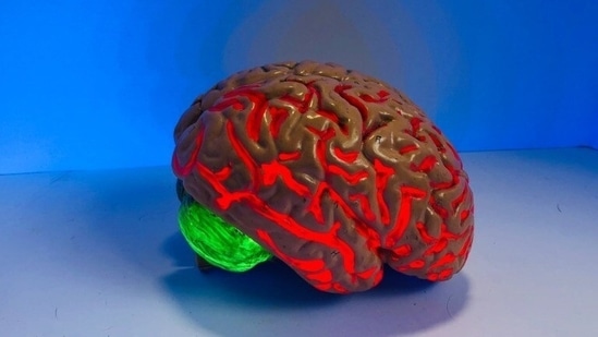 New brain research offers hope for Alzheimer's disease(Unsplash) New brain research offers hope for Alzheimer's disease(Unsplash)