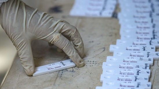 A medic sorts swab samples for Covid-19 testing.(PTI | Representational image) A medic sorts swab samples for Covid-19 testing.(PTI | Representational image)