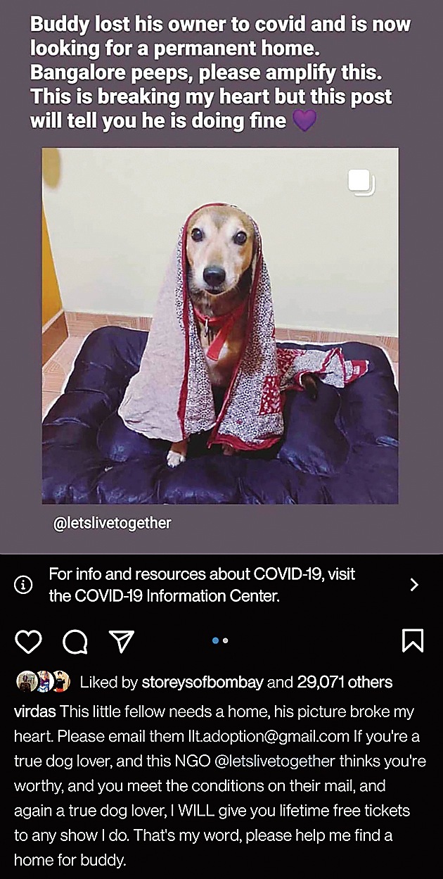 Comedian Vir Das raised ₹7 lakh over two days through tickets to his virtual gigs, and has offered free lifetime tickets to anyone who adopts Buddy (below), a dog who lost his owner to Covid. Comedian Vir Das raised ₹7 lakh over two days through tickets to his virtual gigs, and has offered free lifetime tickets to anyone who adopts Buddy (below), a dog who lost his owner to Covid.