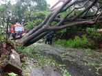 Several trees uprooted after strong winds and rainfall due to Cyclone Tauktae, in Panaji on Sunday. (ANI Photo) Several trees uprooted after strong winds and rainfall due to Cyclone Tauktae, in Panaji on Sunday. (ANI Photo)