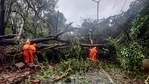 The cyclone is expected to cross Gujarat with wind gusts of up to 175 kmph (109 mph).(PTI) The cyclone is expected to cross Gujarat with wind gusts of up to 175 kmph (109 mph).(PTI)
