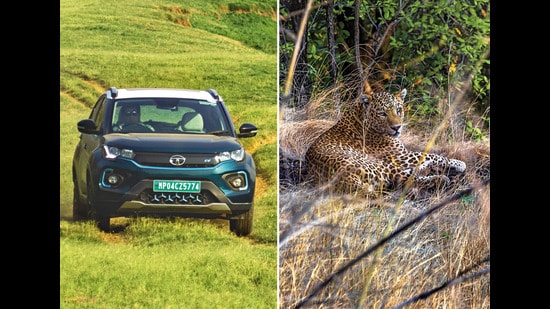 Twin benefits of zero pollution and no engine noise make this Tata variant perfect for safaris