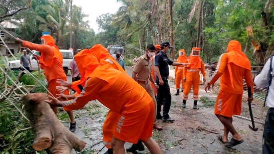 Goa: NDRF team undertakes restoration work, after a tree collapsed due to strong winds during the formation of cyclone Tauktae, in Panjim, on Sunday, May 16, 2021. (PTI Photo)((PTI05_16_2021_000094A) (PTI) Goa: NDRF team undertakes restoration work, after a tree collapsed due to strong winds during the formation of cyclone Tauktae, in Panjim, on Sunday, May 16, 2021. (PTI Photo)((PTI05_16_2021_000094A) (PTI)