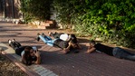 Israelis take cover as a siren sounds a warning of incoming rockets fired from the Gaza Strip, in Ashkelon, southern Israel.(AP) Israelis take cover as a siren sounds a warning of incoming rockets fired from the Gaza Strip, in Ashkelon, southern Israel.(AP)