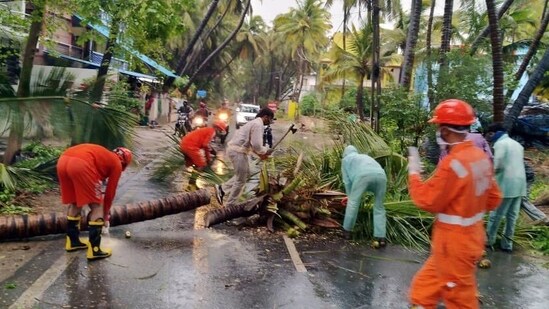 NDRF personnel clears the road after a tree fell on a road due to cyclone Tauktae, in Diu on May 17, 2021. (ANI Photo)