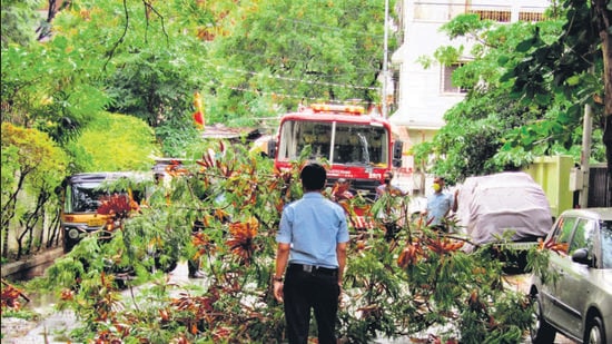 PMC fire brigade officials respond to a tree falling incident in Pune. (HT PHOTO) PMC fire brigade officials respond to a tree falling incident in Pune. (HT PHOTO)