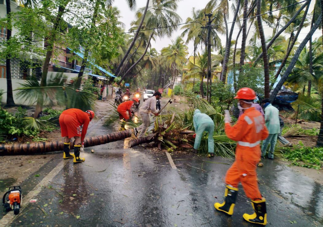 NDRF personnel clears the road after a tree fell on a road due to cyclone Tauktae, in Diu on Monday. (ANI Photo)