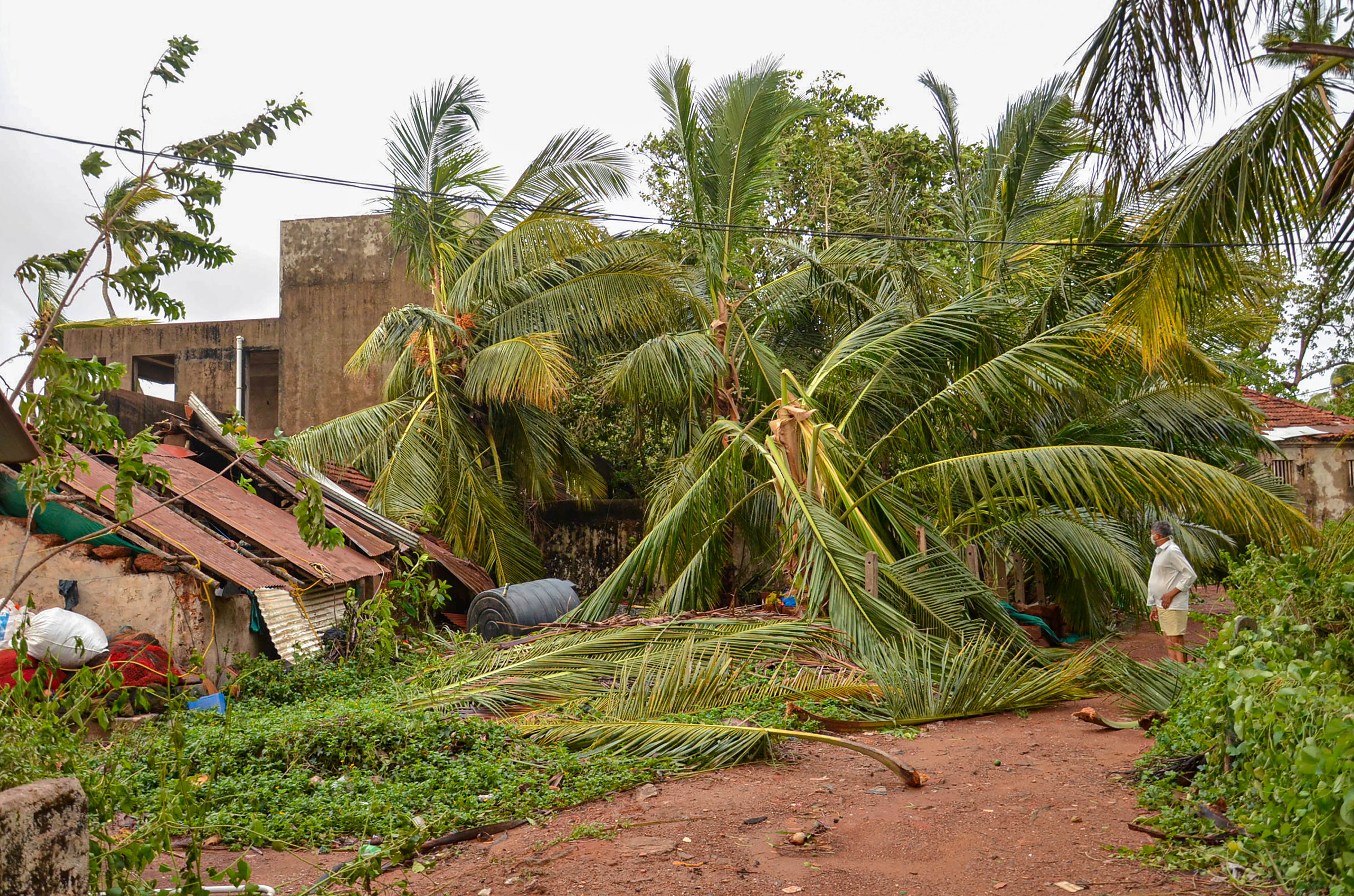 Several trees collapsed on nearby buildings due to cyclone Tauktae at Candolim in North Goa on Monday. (PTI Photo) (PTI)