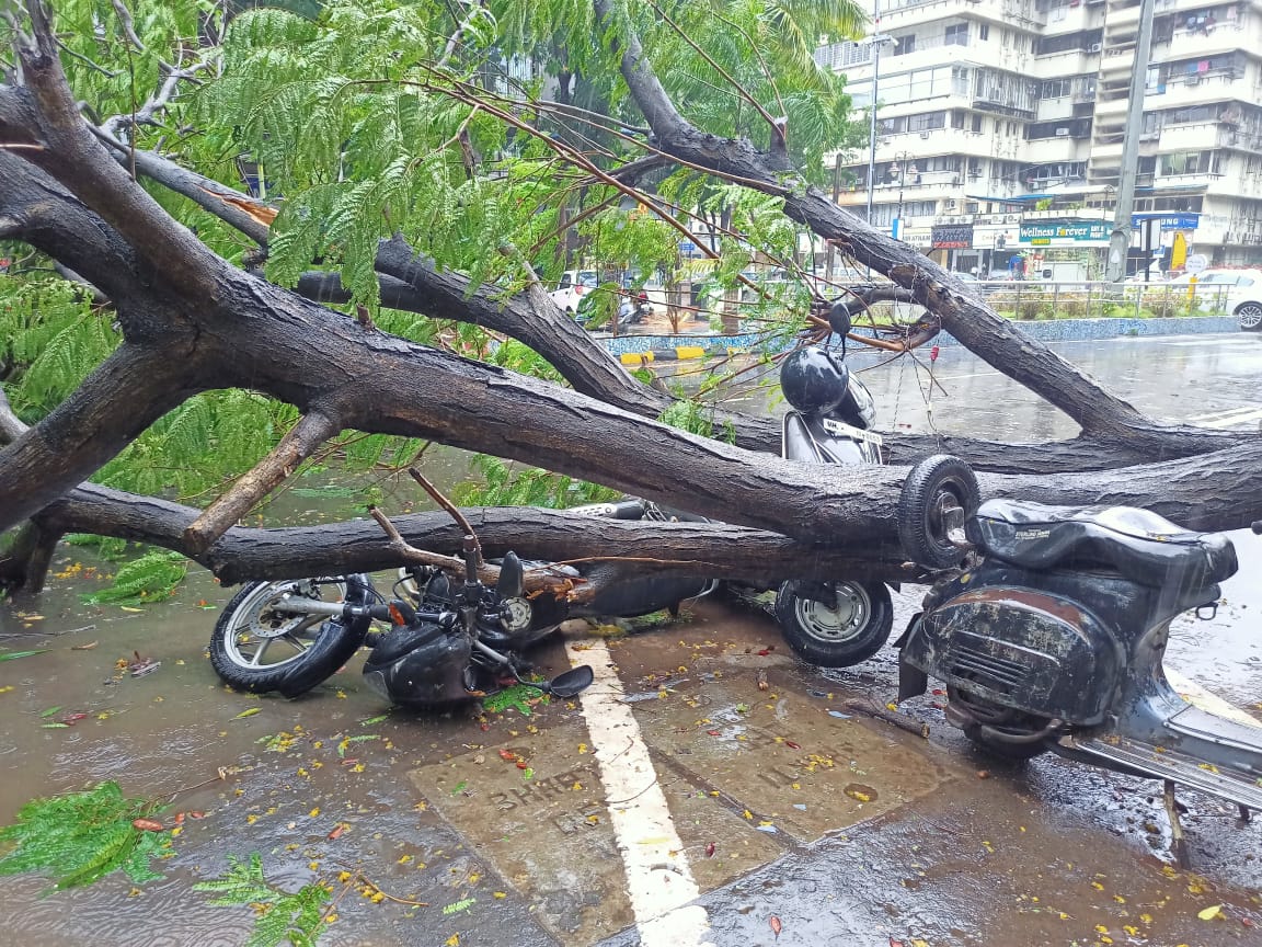 A tree fell on a parked two wheeler at Sector -17 Vashi in Navi Mumbai on Monday, (Bachchan Kumar/ HT Photo)