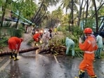 NDRF personnel clears the road after a tree fell on a road due to cyclone Tauktae, in Diu. NDRF personnel clears the road after a tree fell on a road due to cyclone Tauktae, in Diu.