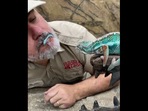 The image shows the lizard and Reptile Zoo founder Jay Brewer.(Instagram/@jayprehistoricpets) The image shows the lizard and Reptile Zoo founder Jay Brewer.(Instagram/@jayprehistoricpets)