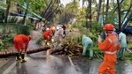 NDRF personnel clears the road after a tree fell on a road due to cyclone Tauktae, in Diu. NDRF personnel clears the road after a tree fell on a road due to cyclone Tauktae, in Diu.