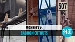 Delhi: ITBP counters monkey menace at Covid centre with cutouts of baboons Delhi: ITBP counters monkey menace at Covid centre with cutouts of baboons