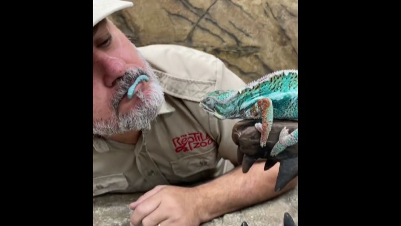 Lizard grabs worm off zoo owner’s lip, video leaves people with varied thoughts