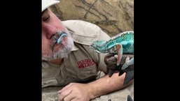 The image shows the lizard and Reptile Zoo founder Jay Brewer.