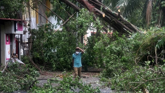 A man walks past a fallen tree after heavy rainfall in Mumbai caused by the passing of Cyclone Tauktae, the most powerful storm to hit the region in more than two decades, on May 18. The city was largely spared from any major damage as the Cyclone came ashore in neighboring Gujarat late on May 17.(Rafiq Maqbool / AP)