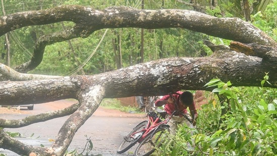 In Karnataka, heavy rainfall and gusty winds continued to lash the coastal districts of Udupi, Dakshina Kannada and Uttara Kannada. (PTI Photo) In Karnataka, heavy rainfall and gusty winds continued to lash the coastal districts of Udupi, Dakshina Kannada and Uttara Kannada. (PTI Photo)
