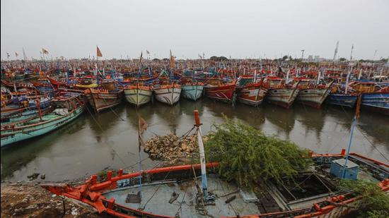 Fishing boats parked at a harbour near coastline of Veraval, Gir Somnath, on Monday, May 17. (PTI)