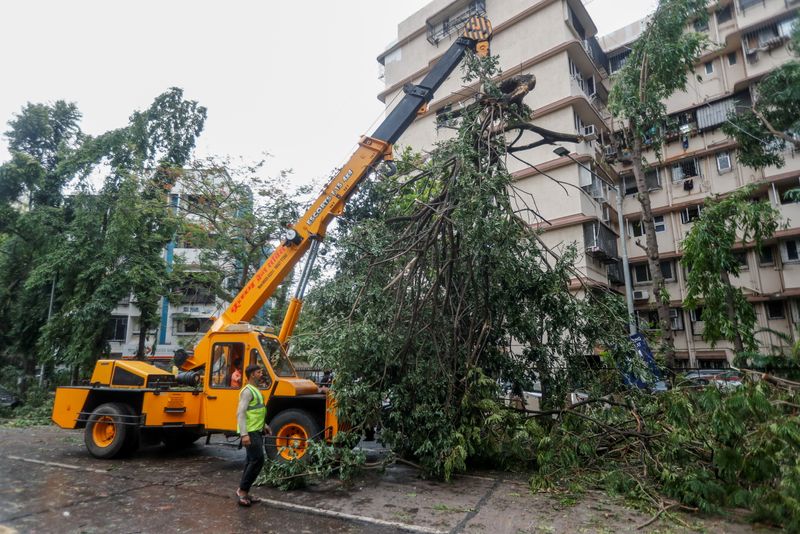 A crane lifts a fallen tree after strong winds caused by Cyclone Tauktae in Mumbai.