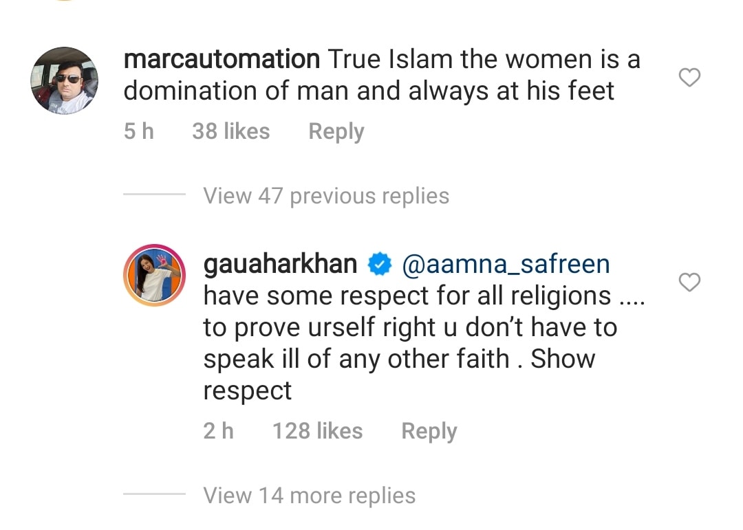 Gauahar Khan responds to a troll.