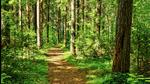 Representational Image. (Shutterstock) Representational Image. (Shutterstock)