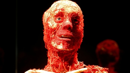Arteries are seen on a plastinated human body during the "Body Worlds" exhibition by German anatomist Gunther von Hagens at the Halle 622 exhibition hall in Zurich, Switzerland May 7, 2021.  (REUTERS)