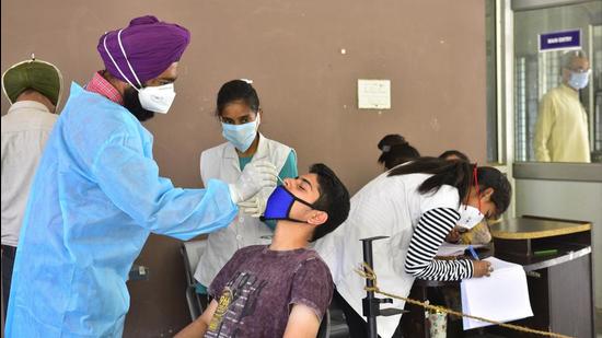 A health worker collecting swab samples for Covid testing at the civil surgeon’s office in Ludhiana. The daily cases continued to decline for the fourth consecutive day with 731 cases being detected on Tuesday. (Gurpreet Singh/HT) A health worker collecting swab samples for Covid testing at the civil surgeon’s office in Ludhiana. The daily cases continued to decline for the fourth consecutive day with 731 cases being detected on Tuesday. (Gurpreet Singh/HT)