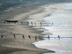 The pre-monsoon months of April and May usually witness formation of cyclones on the eastern as well as the western coast.(ANI file photo) The pre-monsoon months of April and May usually witness formation of cyclones on the eastern as well as the western coast.(ANI file photo)