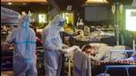 Health workers check on Covid-19 patients at Shehnai Banquet Hall, converted into an isolation centre, in New Delhi. (File photo) Health workers check on Covid-19 patients at Shehnai Banquet Hall, converted into an isolation centre, in New Delhi. (File photo)