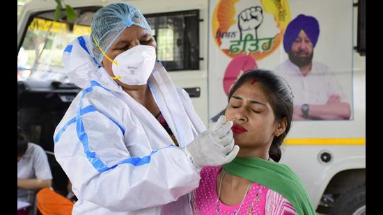 A health worker collecting a woman’s swab samples at Sarabha Nagar Market in Ludhiana on Thursday. (Harsimar Pal Singh/HT) A health worker collecting a woman’s swab samples at Sarabha Nagar Market in Ludhiana on Thursday. (Harsimar Pal Singh/HT)