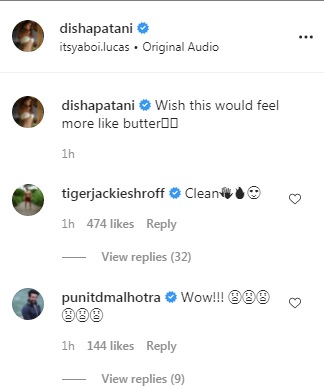 Tiger Shroff's comment on the picture (Instagram/ dishapatani)