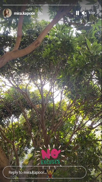 She also took to her Instagram Stories and shared a picture.