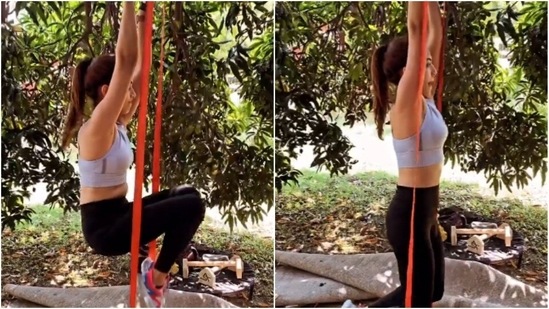Mira Rajput shares new fitness video(Instagram/ mira.kapoor)